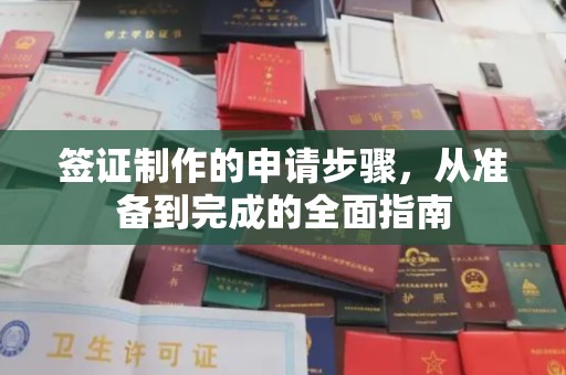 廉江签证制作的申请步骤，从准备到完成的全面指南